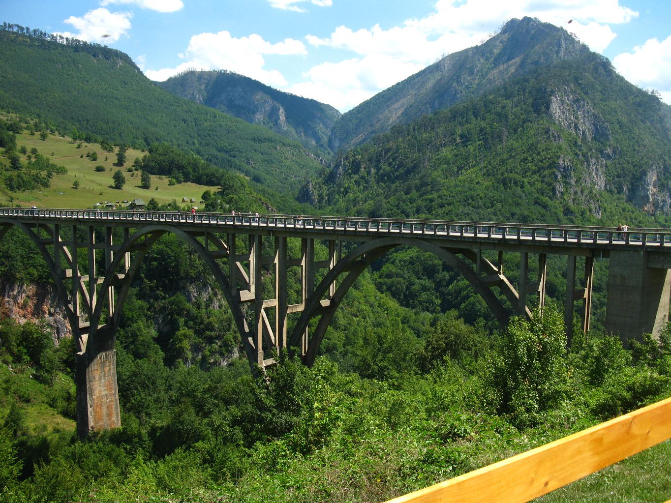 Tara Bridge